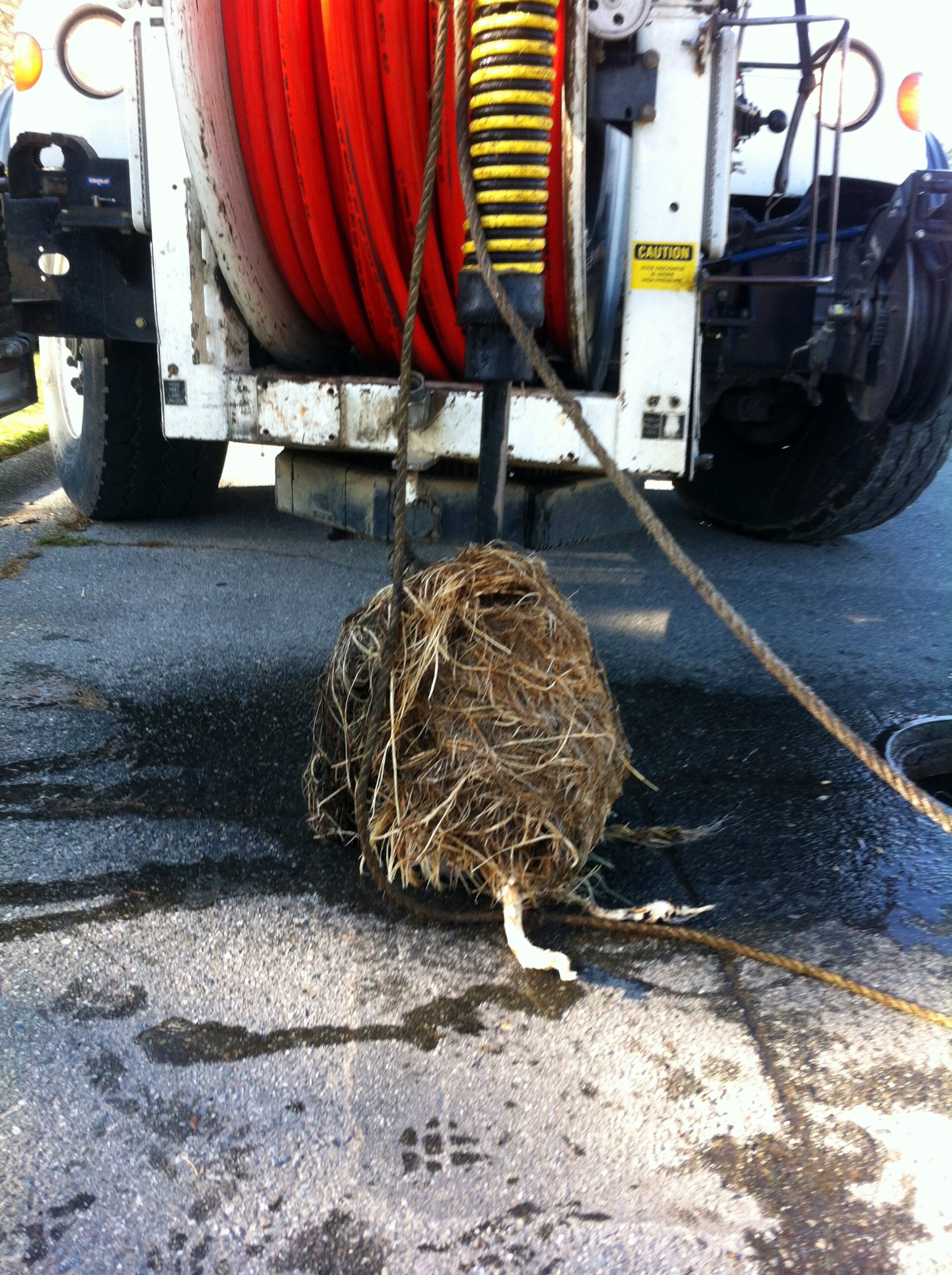 root cutting and removal